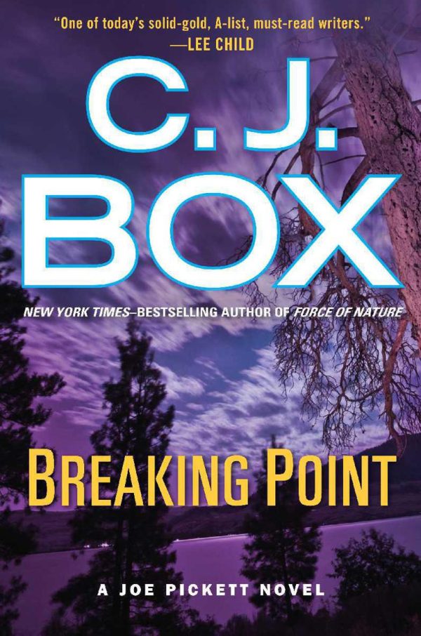 Обложка книги «Breaking Point»