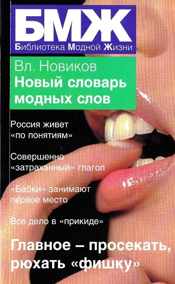 Обложка книги «Новый словарь модных слов»