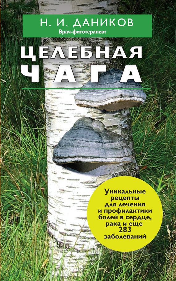 Обложка книги «Целебная чага»