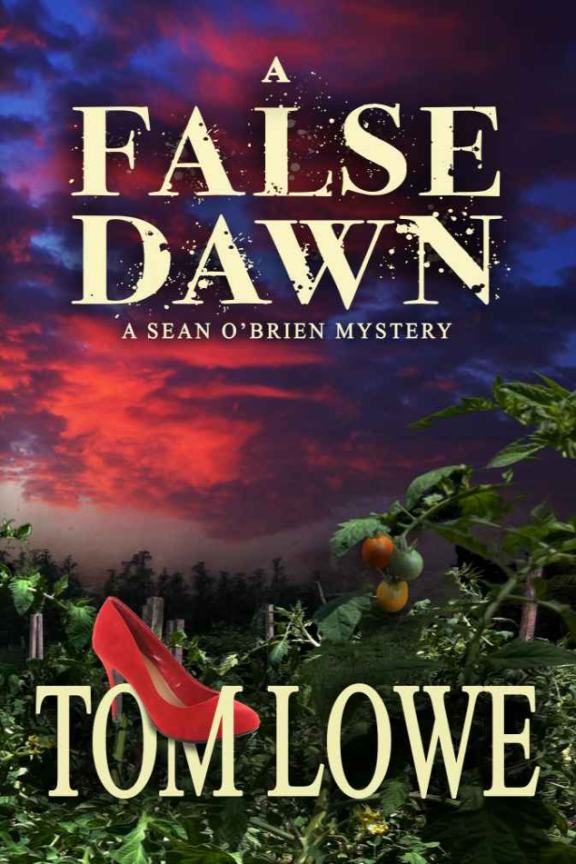 Обложка книги «A False Dawn»