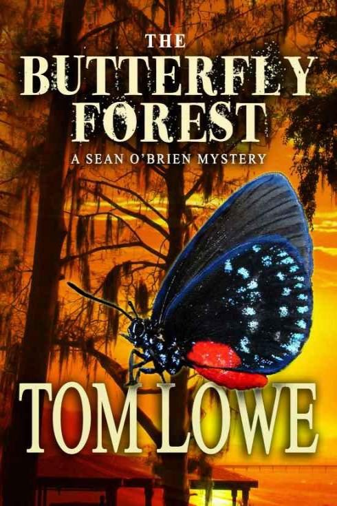 Обложка книги «The Butterfly Forest»