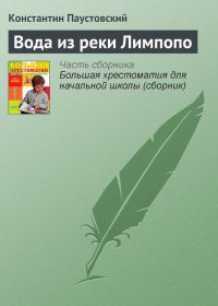 Обложка книги «Вода из реки Лимпопо»