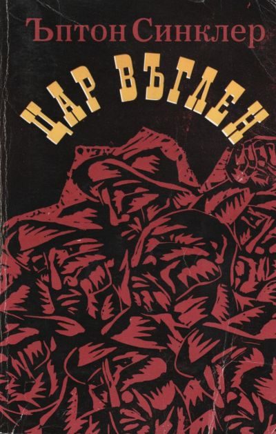 Обложка книги «Цар Въглен»