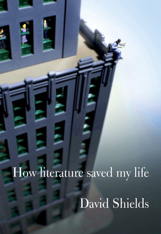 Обложка книги «How Literature Saved My Life»