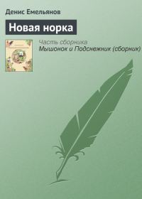 Обложка книги «Новая норка»