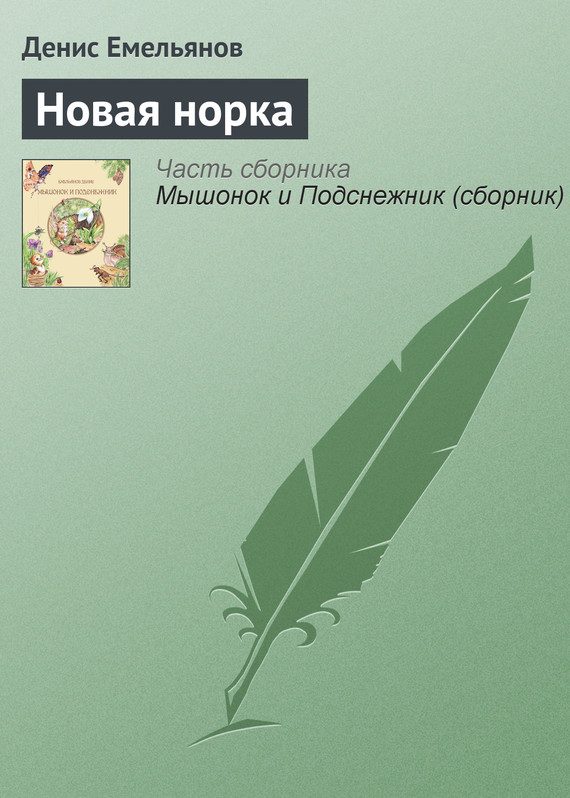 Обложка книги «Новая норка»