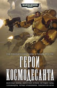 Обложка книги «Герои космодесанта»
