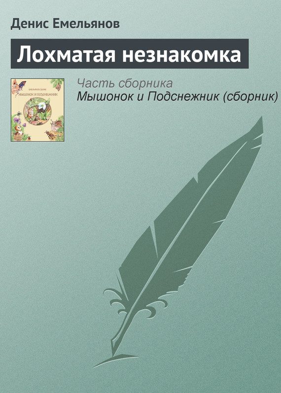 Обложка книги «Лохматая незнакомка»