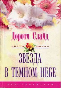 Обложка книги «Звезда в темном небе»