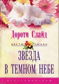 Обложка книги «Звезда в темном небе»