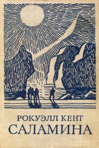 Обложка книги «Саламина»