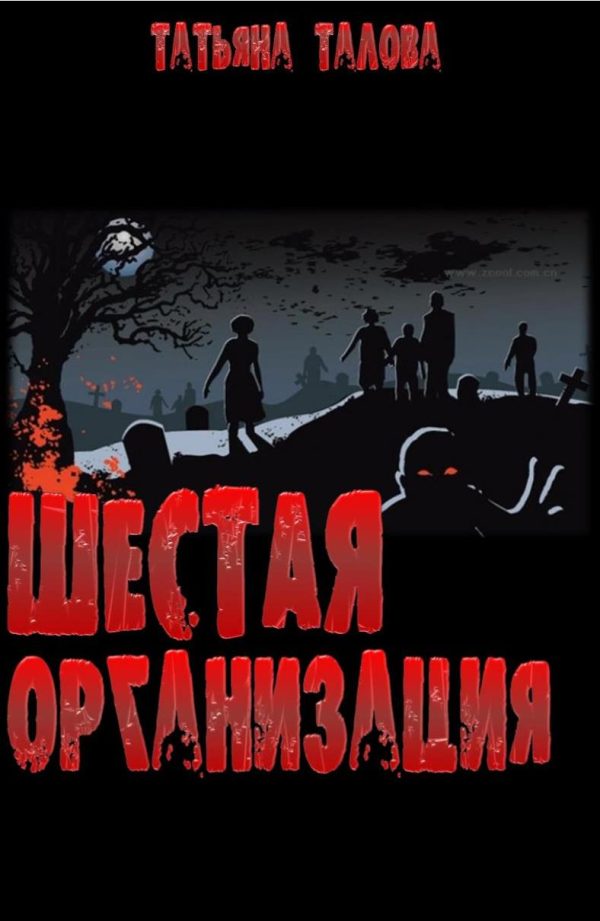 Обложка книги «Шестая организация»