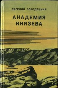 Обложка книги «Академия Князева»