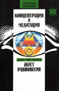 Обложка книги «Жест равновесия»