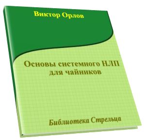 Обложка книги «Основы системного НЛП для чайников»