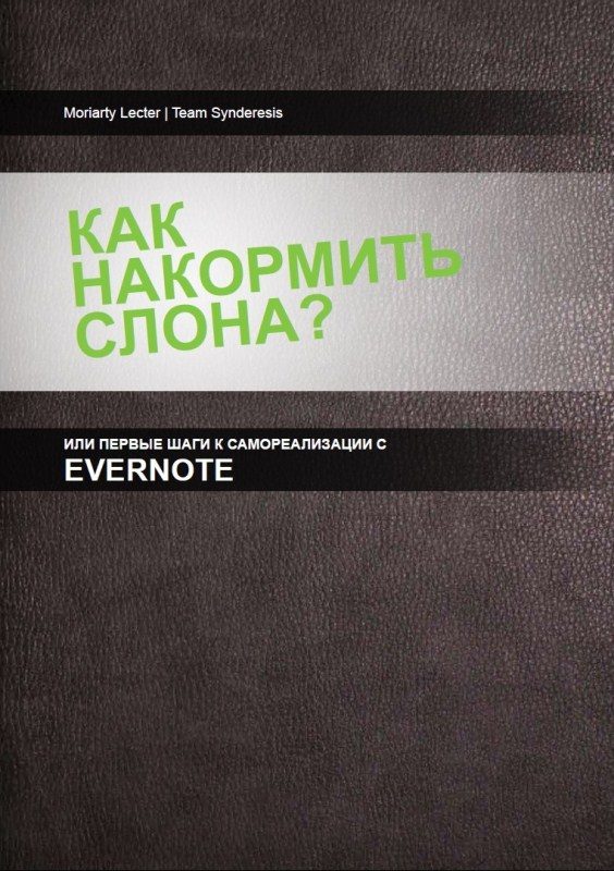 Обложка книги «Как накормить слона, или первые шаги к самоорганизации с Evernote»