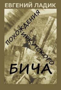 Обложка книги «Похождения иркутского бича»