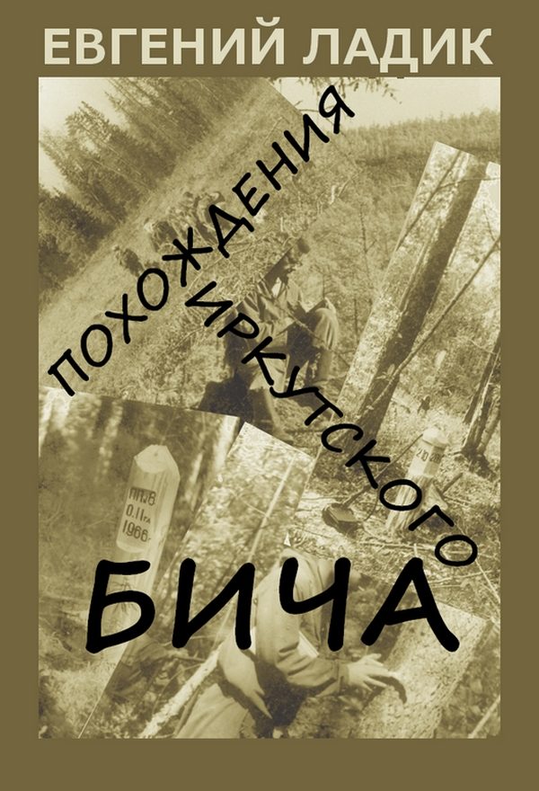 Обложка книги «Похождения иркутского бича»