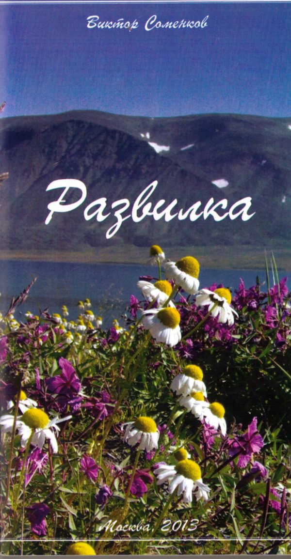 Обложка книги «Развилка»