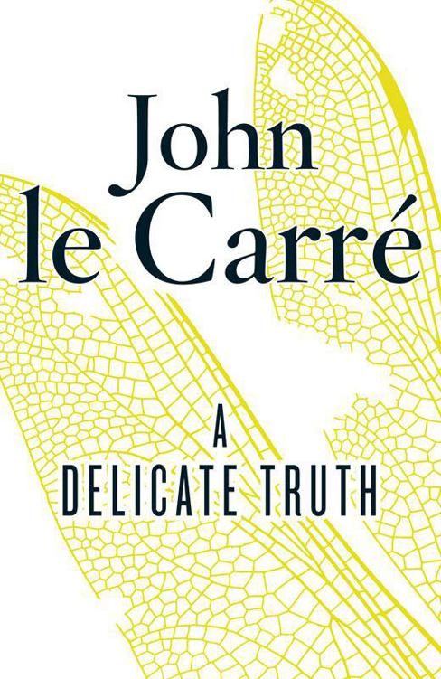 Обложка книги «A Delicate Truth»