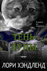 Обложка книги «Тень луны»