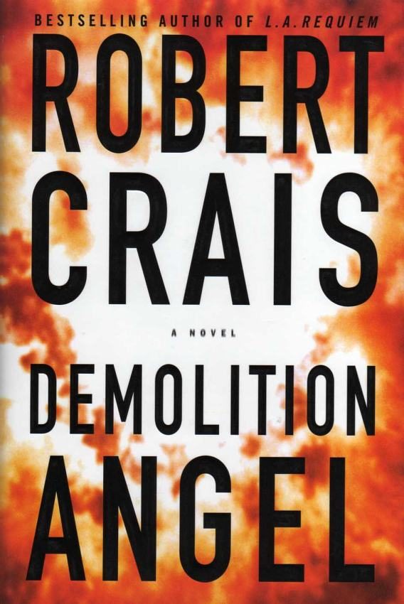 Обложка книги «Demolition Angel»
