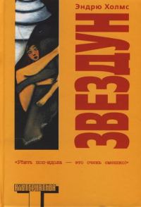 Обложка книги «Звездун»