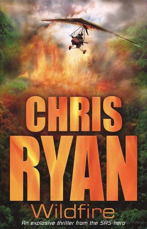Обложка книги «Wildfire»