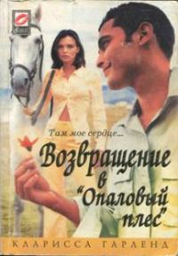 Обложка книги «Возвращение в "Опаловый плес"»