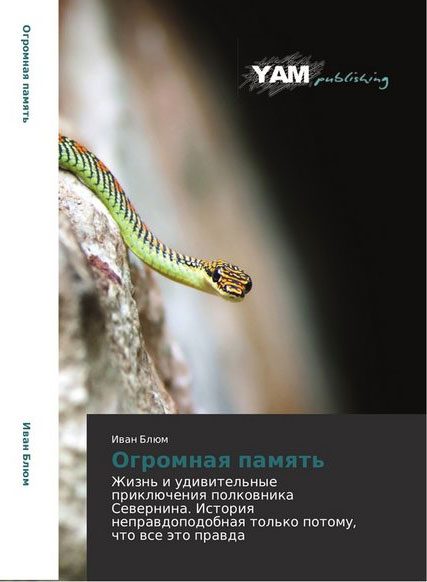 Обложка книги «Огромная память»