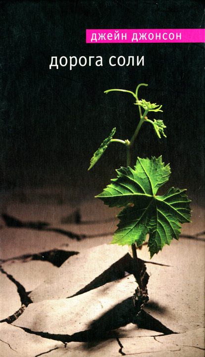 Обложка книги «Дорога соли»