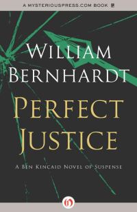 Обложка книги «Perfect Justice»