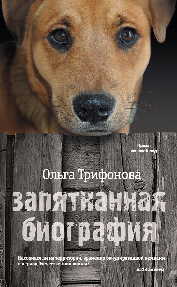 Обложка книги «Запятнанная биография»