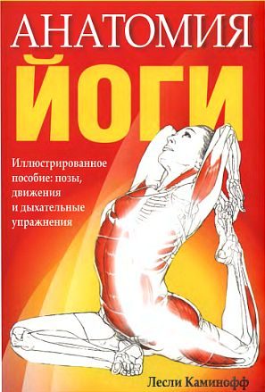 Обложка книги «Анатомия йоги»