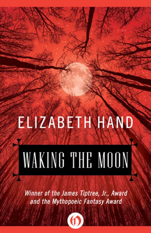 Обложка книги «Waking the Moon»