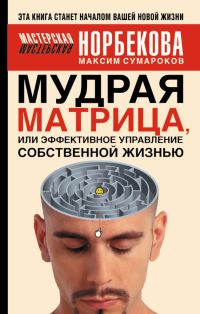 Обложка книги «Мудрая матрица, или Эффективное управление собственной жизнью»