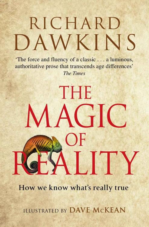 Обложка книги «The Magic of Reality»