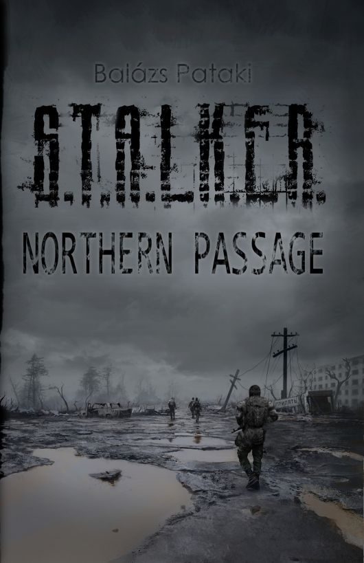 Обложка книги «S.T.A.L.K.E.R.: Northern Passage»