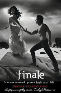 Обложка книги «Финал»