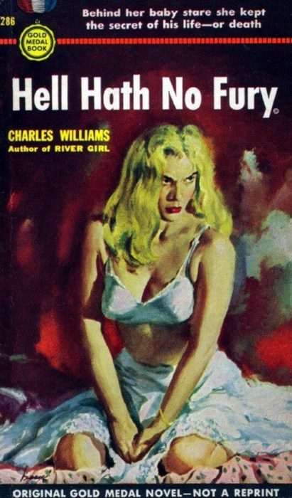 Обложка книги «Hell Hath No Fury aka The Hot Spot»