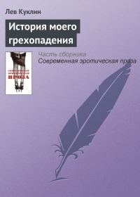 Обложка книги «История моего грехопадения»