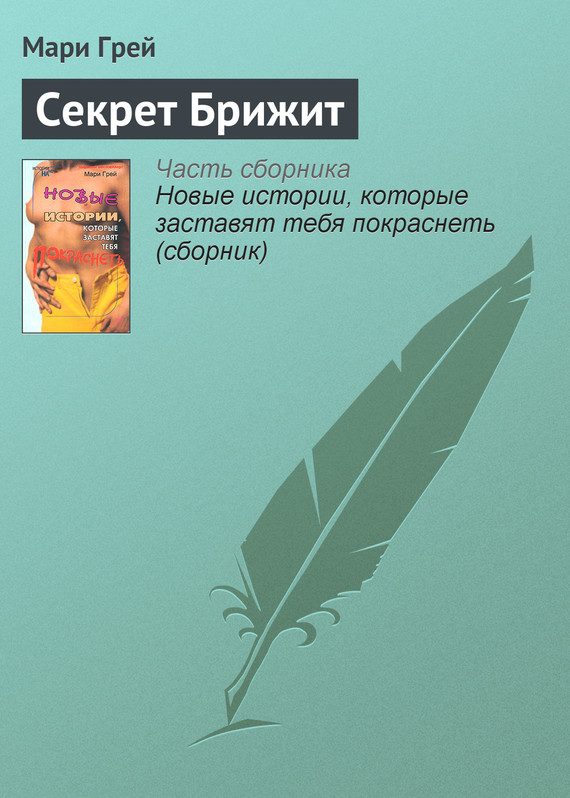 Обложка книги «Секрет Брижит»