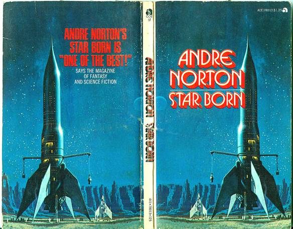 Обложка книги «Star Born»