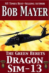 Обложка книги «Dragon Sim-13»