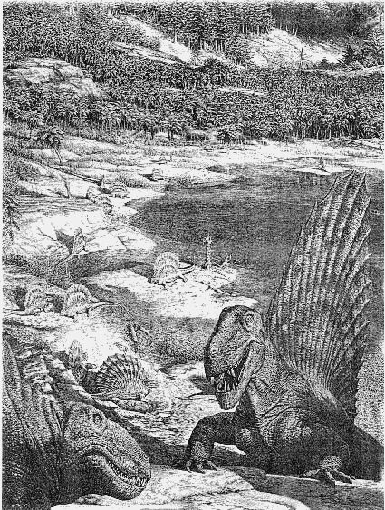 Обложка книги «История земли и жизни на ней»