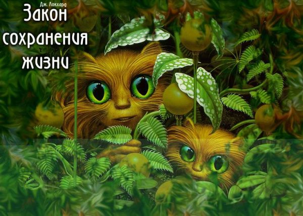 Обложка книги «Закон сохранения жизни»