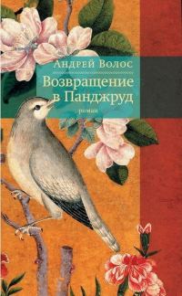 Обложка книги «Возвращение в Панджруд»