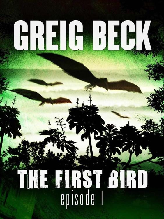 Обложка книги «The First Bird»