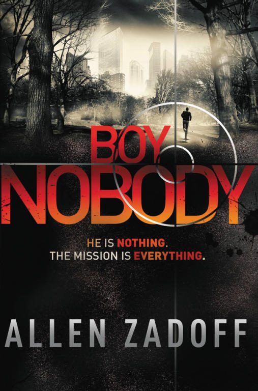 Обложка книги «Boy Nobody»