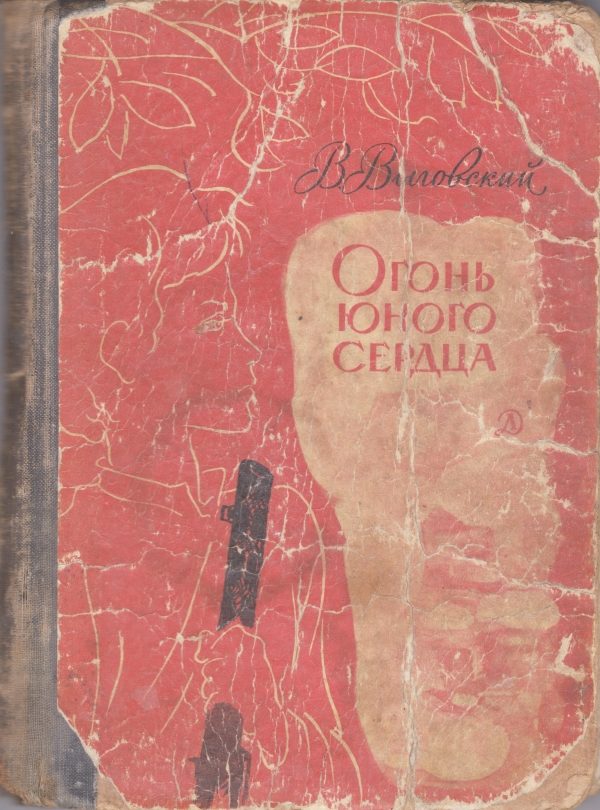 Обложка книги «Огонь юного сердца»